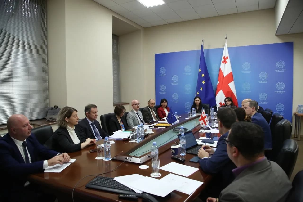 საქართველო-ევროკავშირის ასოცირების ეკონომიკური და დარგობრივი თანამშრომლობის ქვეკომიტეტის სხდომა